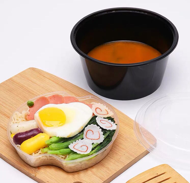 Disposable double plastic lunch box